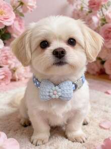 PETSIN 1 宠物花朵项圈 可调节颈围 猫项圈 狗项圈 宠物配件 宠物用品 - 彩色 - 查看 10