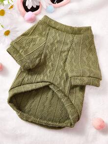 PETSIN 1 Pc Green Pet Knitted Sweatshirt For Autumn And Winter, Dry And Warm Pet Clothes - Green - View 7