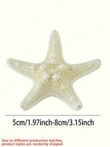 6件天然海螺壳五指霸王螳螂海星标本地中海平台装饰海洋装饰墙面装饰系列家居装饰 - 彩色 - 查看 2