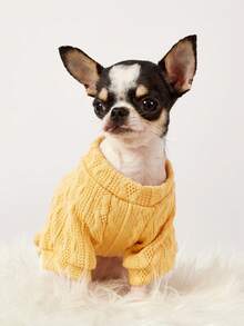 PETSIN 1 Pc Yellow Pet Knitted Sweatshirt For Autumn And Winter, Dry And Warm Pet Clothes - Yellow - View 2