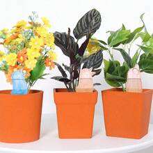 1个自吸水地插球装置 植物浇水器 花盆自动滴灌浇水器 室内外盆栽植物花卉浇水器（透明鸟形） - 彩色 - 查看 6