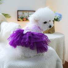 PETSIN 1件宠物蝴蝶仙女裙，小型犬/猫/狗通用服装，宠物公主风春季服装 - 彩色 - 查看 10