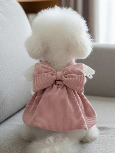 PETSIN 宠物服装：可爱宠物连衣裙，带牵引绳环，秋冬季灯芯绒南瓜裙，适合猫狗，时尚蕾丝袖狗狗服装，适合泰迪犬和比熊犬等小型犬的时尚宠物服装