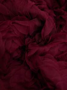 Aveloria Rosie 优雅百搭的立体刺绣花卉拼接雪纺束腰吊带长裙 - 酒紅色 - 查看 7