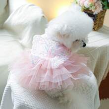 PETSIN 1件宠物蝴蝶仙女裙，小型犬/猫/狗通用服装，宠物公主风春季服装 - 彩色 - 查看 8