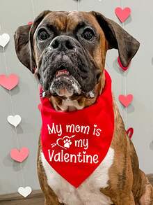 PETSIN Khăn quàng cổ cho chó ngày Valentine, yếm cho thú cưng in hình thư tình. - Nhiều màu - Xem 9