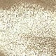 Champagne