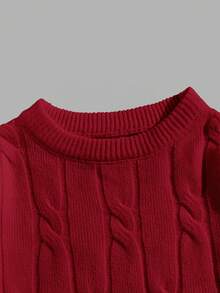 Manfinity Unisex 1件男士圆领纯色麻花针织休闲套头毛衣，适合秋冬季节，情侣装