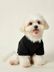 PETSIN 1 Pc Cute Toast Avocado Egg Flower Letter Printed Pet Black Autumn/Winter Casual Sports Style Pet Clothes - Black - View 2