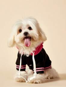 1件运动风格字母数字23印花宠物外套，玫瑰红缝线，黑色休闲风格，加厚保暖宠物连帽衫 - 彩色 - 查看 7