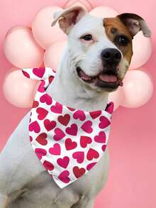 PETSIN Bandanas pour chiens pour la Saint-Valentin, bavoirs pour animaux de compagnie avec imprimés de lettres d'amour - Multicolore - Voir 16