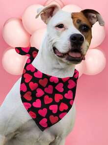 PETSIN Bandanas pour chiens pour la Saint-Valentin, bavoirs pour animaux de compagnie avec imprimés de lettres d'amour - Multicolore - Voir 15