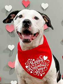 PETSIN Khăn quàng cổ cho chó ngày Valentine, yếm cho thú cưng in hình thư tình. - Nhiều màu - Xem 18