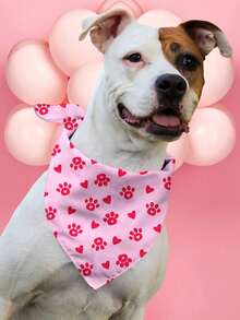 PETSIN Bandanas pour chiens pour la Saint-Valentin, bavoirs pour animaux de compagnie avec imprimés de lettres d'amour - Multicolore - Voir 12