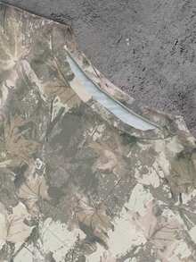 SHEIN 女士休闲宽松迷彩印花短袖 T 恤