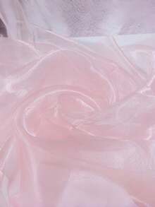 1件粉色薄纱面料，宽150厘米，可作婚纱头纱，饰有闪亮三层蕾丝花边；另有白色薄纱面料和闪亮薄纱面料可供选择，适用于婚纱。 - 淺粉色 - 查看 10
