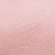 Coral Pink