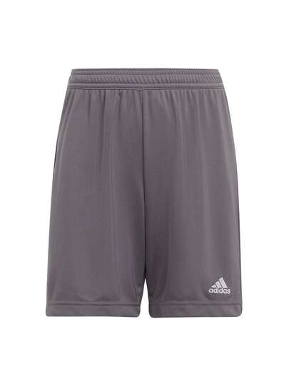 Adidas Entrada 22 Kid's Shorts Grey