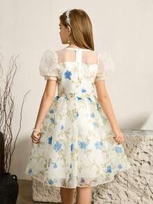 女童优雅印花修身欧根纱连衣裙，适合晚宴、圣诞节、万圣节、感恩节、婚礼、舞会、毕业典礼、返校季及其他场合。 - 杏色 - 查看 2