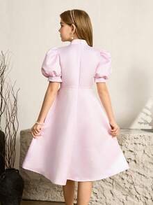 SHEIN Tween Girl Fashion Party Banquet Mock Neck Jabot Collar Bubble Sleeve Embroidered Decor Waist Fit Dress - Pink - View 2