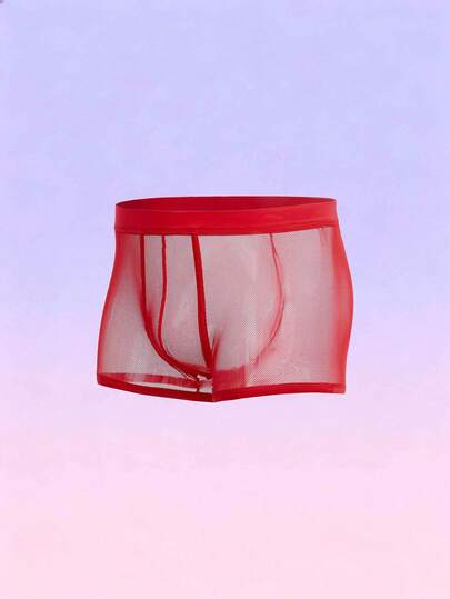 FeverCity Men's Mesh Sheer Solid Color Briefs, Suitable For Dates