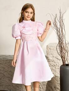SHEIN Tween Girl Fashion Party Banquet Mock Neck Jabot Collar Bubble Sleeve Embroidered Decor Waist Fit Dress - Pink - View 4