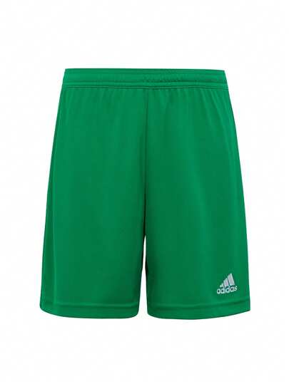 Adidas Entrada 22 Kid's Shorts Green