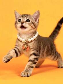 PETSIN قلادة قطة أو كلب بقلادة زهرة اللؤلؤ، قابلة للتعديل الحجم، إكسسوار ديكور للحيوانات الأليفة، مستلزمات الحيوانات الأليفة - متعدد الألوان - مشاهدة 24