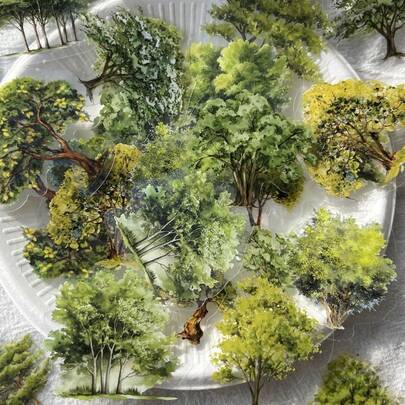 40 Sheets/Pack PET White Ink Sticker Pack, Tree Natural Collection, INS Scenery, Trees, Material For Scrapbooking DIY, Scenery Collage, Journal, Decoration, Sticker Back To School