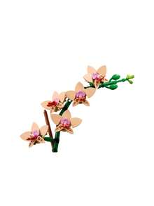 LEGO The Botanical Collection™ Mini Orchid 18Years+ 10343 - Multicolor - View 4