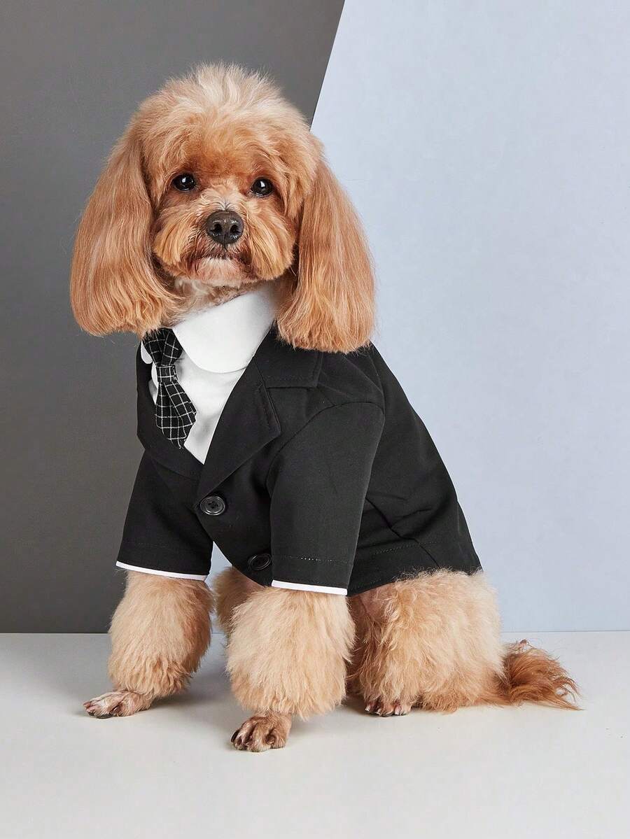 Pet 2 In 1 Suit Jacket (Bow Tie Not Included) - Black - View 1