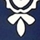 藏蓝色