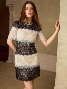 MOTF PREMIUM WOMEN'S BLACK & WHITE LACE PATCHWORK SHORT SLEEVE ELEGANT DATE NIGHT SHORT DRESS - Black and White - View 5