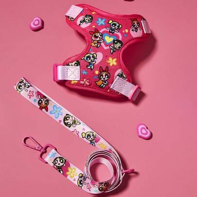 THE POWERPUFF GIRLS X SHEIN 1 Set Of Cartoon Pattern Printed Pet Travel Strap And Leash Set, A Variety Of Sizes To Choose From, The Length Of The Strap Can Be Adjusted, Suitable For Cats, Suitable For Dogs, Blossom, Bubbles, Buttercup, Friendship, Love, Flower,Gift Ideas