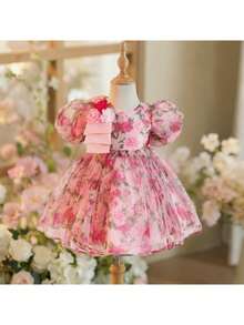 Babygirl Elegant & Cute Floral Print Organza Princess Dress - Pink - View 5