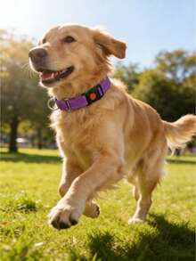 1件装 高强度反光尼龙马丁格尔犬项圈 防拉扯训练项圈 L码可调节 适用于小型、中型和大型犬 宠物训练装备 遛狗配件