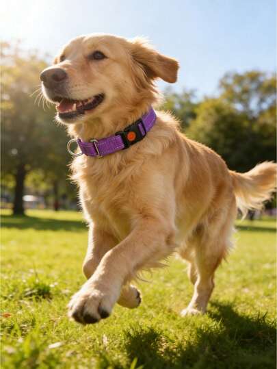 1 st kraftigt reflekterande nylon martingale hundhalsband utan dragkraft träningshalsband L justerbar för små medelstora hundar husdjursträningsutrustning promenadtillbehör