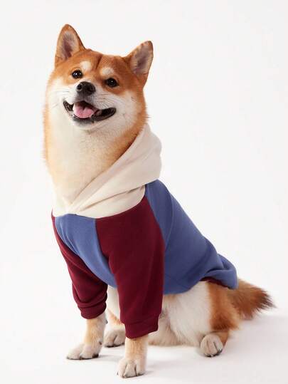 PETSIN 1 pieza Sudadera con capucha de tres colores para mascotas, azul, marrón, beige, jersey casual para perros