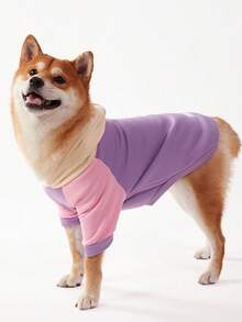 PETSIN 1件宠物杏紫色撞色连帽卫衣，插肩袖休闲狗狗连帽衫 - 彩色 - 查看 3