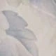 彩色