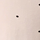 Màu be