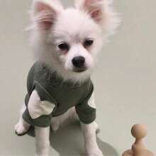 Pc1,Dark Green High Neck Dog Clothes With Heart Patch For Small Dogs Daily Wear - Multicolor - View 28