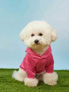 Care Bears X PETSIN 1pc Cute Bear Face Love Lock Printed Pet Hat Hoodie Rose Red Valentine's Day Autumn/Winter Thick Warm Pet Clothes