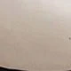 رمادي