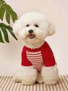 PETSIN 1 Cat Autumn And Winter Clothes Striped Clothing, French Style Teddy Bear, Versatile Base Shirt, Suitable For Winter - Red - View 1