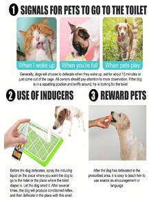 1PC/2Pcs,30ml Pet Potty Training Spray Effective Toilet Training Aid For Dogs Cats, Indoor Outdoor Urine Positioning Guide Spray - Multicolor - View 2