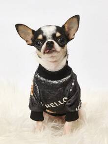 PETSIN 1 Printed Brown Bear Letter Flannel Sweatshirt, Thick And Warm For Pets In Autumn And Winter, Black