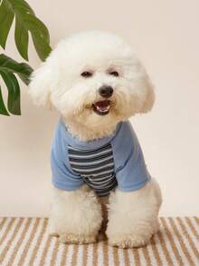 PETSIN 1 Cat Autumn And Winter Clothes Striped Clothing, French Style Teddy Bear, Versatile Base Shirt, Suitable For Winter - Blue - View 4