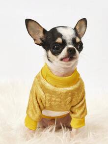 PETSIN 1 Cool Printed Brown Bear Flannel Sweatshirt, Thick And Warm For Pets In Autumn And Winter, Yellow White