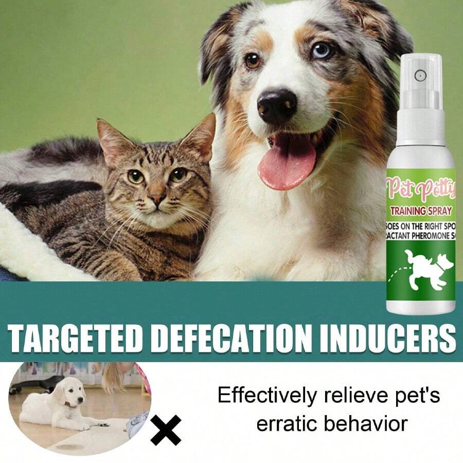 1Pc/2pcs Pet Potty Training Aid; Potty Training Aid For Cats And Dogs; Guides Pets To Use The Toilet Correctly And Pet Behavior. - Multicolor - View 1